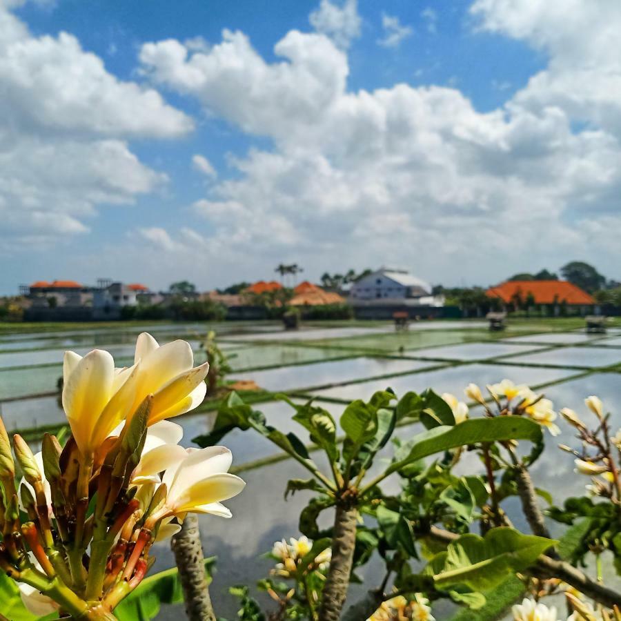 The Avani Villas クタ エクステリア 写真